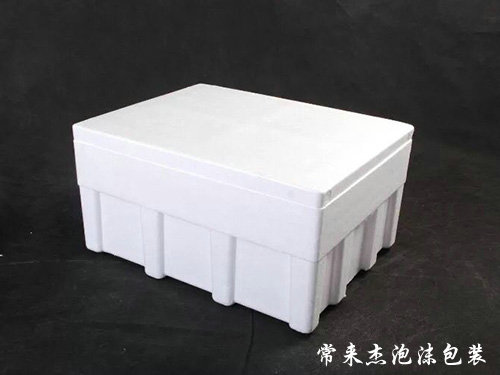 藥品類(lèi)泡沫包裝